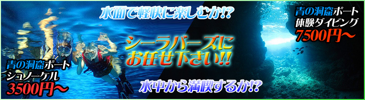 青の洞窟で体験ダイビングとシュノーケリングのツアー