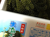 生 海ぶどう