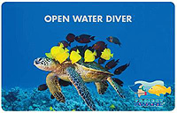 PADI OPEN WATER DIVER